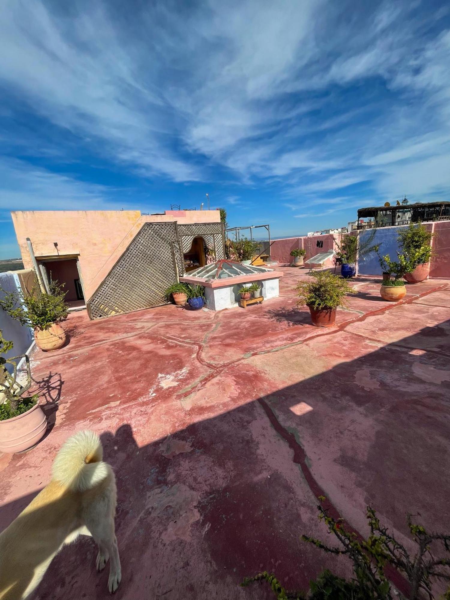 La Maison Haute Larache Morocco מראה חיצוני תמונה